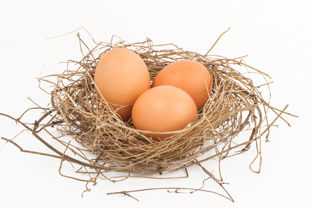 Brown egg in a natural ovary isolated on white backgroundの写真素材