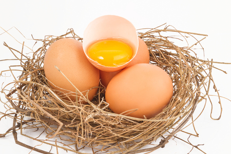 Brown egg in a natural ovary isolated on white backgroundの写真素材