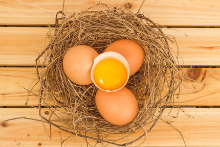 Brown egg in a natural ovary on a wooden tableの写真素材