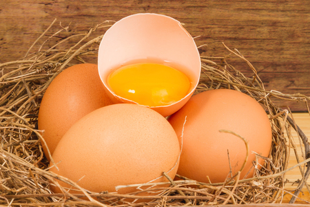 Brown egg in a natural ovary on a wooden tableの写真素材
