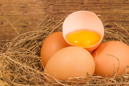 Brown egg in a natural ovary on a wooden tableの写真素材