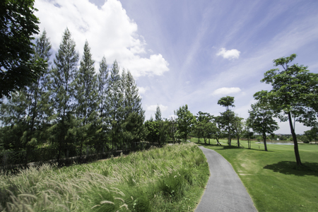 road to the windの写真素材