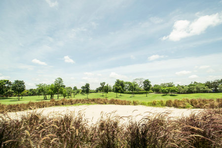 field