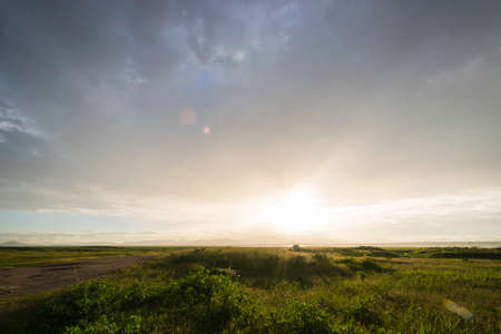 landscape golden lightの写真素材