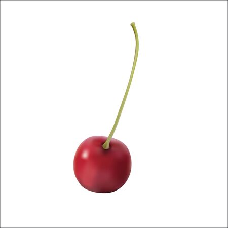 Realistic vector of red cherry isolated berryのイラスト素材