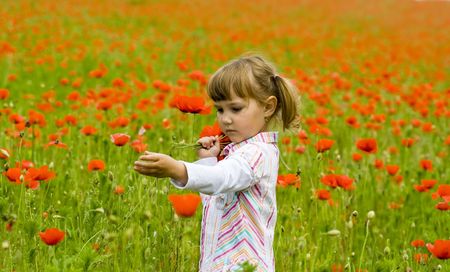 Girl on meadow with a red poppies
の写真素材