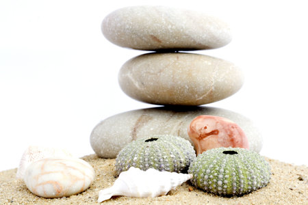 Sand and echinus