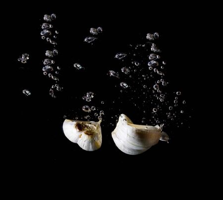 Garlic in waterの写真素材