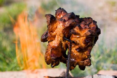 Bratwurstの写真素材