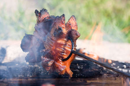 Bratwurstの写真素材