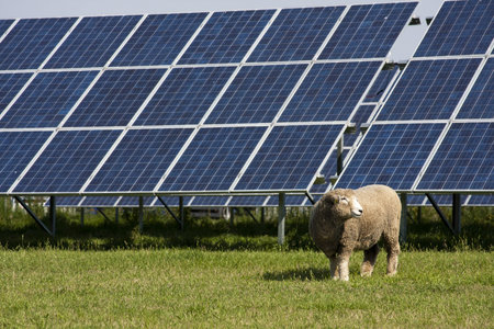 Solar panel