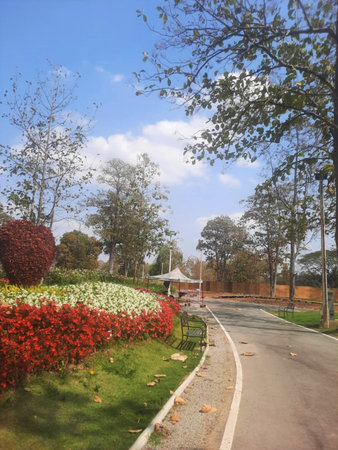 Road in the park with flowerbeds and trees in the background