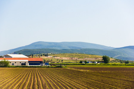 The scene of the farm that line to the house with has mountains background の写真素材