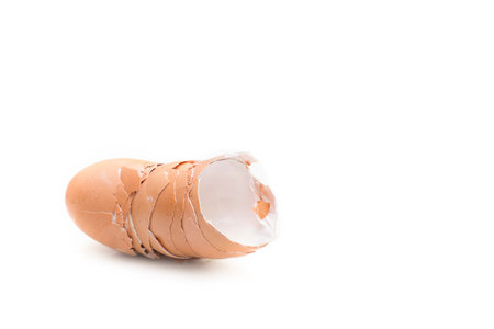Egg shell overlap broken on white background.