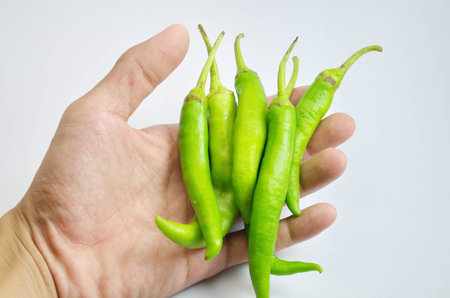 green chilli on hand isolated whiteの写真素材