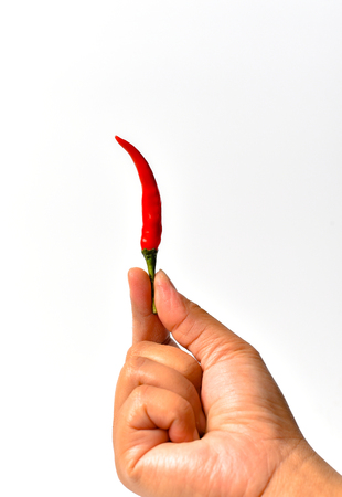 Red chili pepper held in hand on a white background.の写真素材