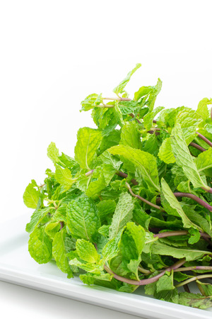 Fresh mint leaves on white backgroundの写真素材