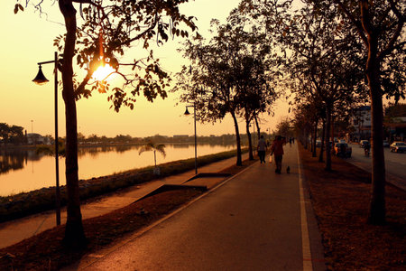 evening walkの写真素材