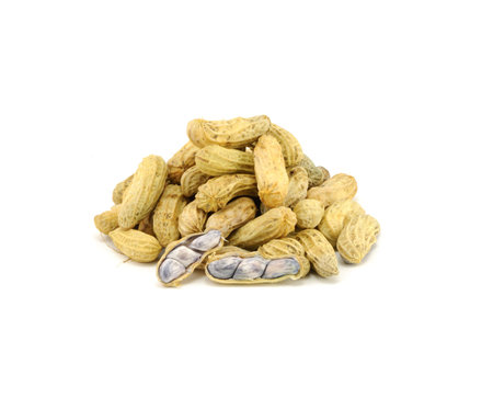 Peanut isolated on white background