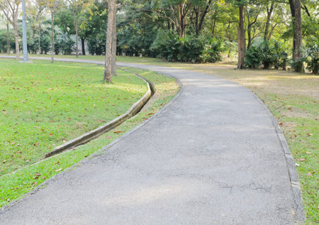 Asphalt way in the park for jogging.