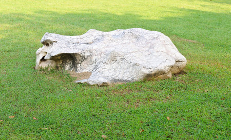 Stone in the grass field