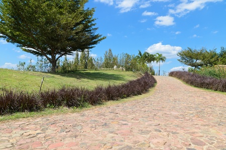 Stone pathway in the garden with blue sky backgroundの写真素材