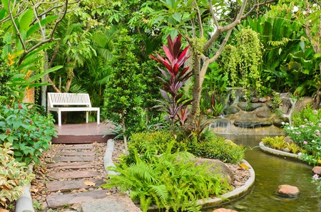 Walk way in beautiful garden with small waterfallの写真素材