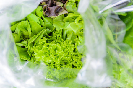 Organic vegetables in plastic bagの写真素材