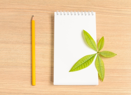 Notebook and wooden pencil and green leaf on wooden backgroundの写真素材