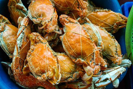 steamed crabs in basket seafood deliciousの写真素材