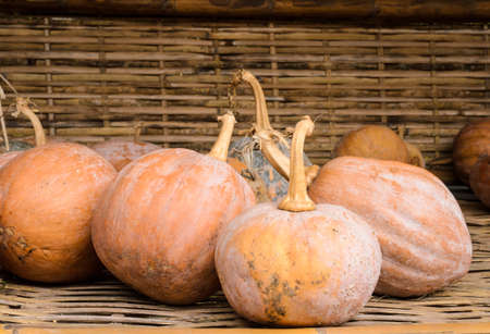 Pumpkins in the rural market of Thailandの写真素材