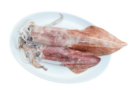 Fresh Squid with isolated white backgroundの写真素材