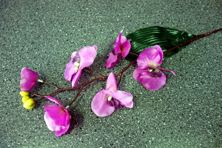 Beautiful artificial orchid on a graveの写真素材