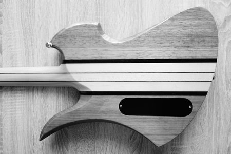 Electric guitar back