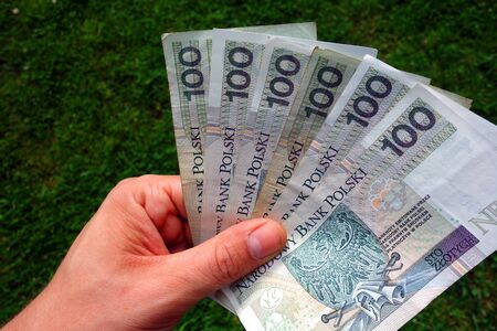 Polish zloty money in handの写真素材