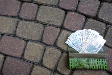 Wallet with money. Polish currency.の写真素材