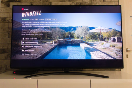 KONSKIE, POLAND - April 02, 2022: Netflix platform on tv screen displaying Windfall criminal drama...