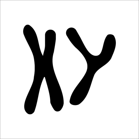 X and Y chromosome sign silhouette symbol icon on backgroundのイラスト素材