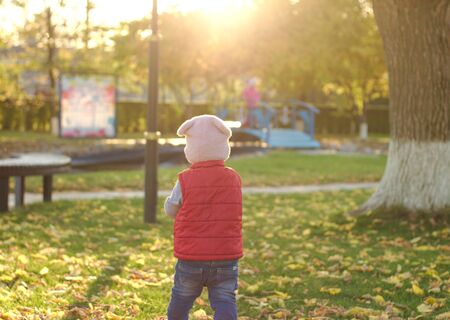 A merry child scatters an armful of yellow fallen leaves. Sunny sunset in autumn park outdoorsの写真素材