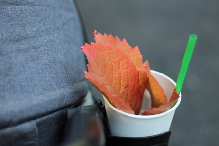 Red orange leaves of Parthenocissus quinquefolia in a cup with a straw. Fall Virginia creeper.