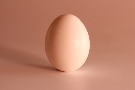 Egg on a white backgroundの写真素材