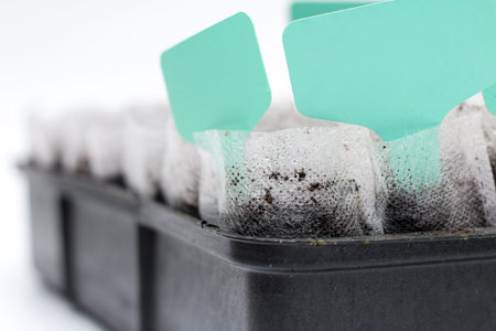White woven fabric bags with soil in a black plastic container against white background. Isolated...