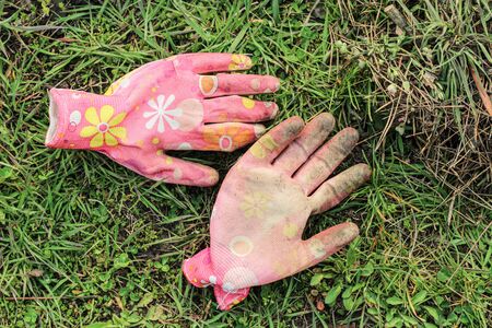 Dirty colored pink female garden gloves lie on the green grass.の写真素材