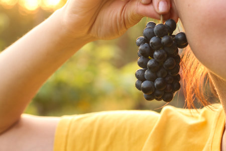 A female hand holds with her fingers one bunch of grapes near her ear against a background of blurry vinesの写真素材