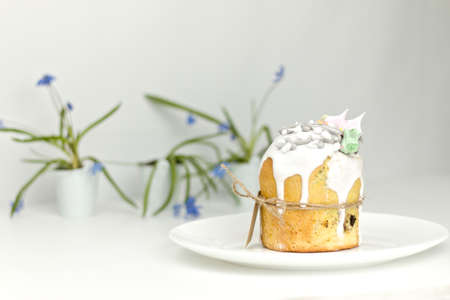 Orthodox Easter cake on a plate with spring flowers in a pot side view on a white backgroundの写真素材