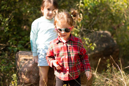 Two little preschooler girls in wild nature. Little children in the forestの写真素材