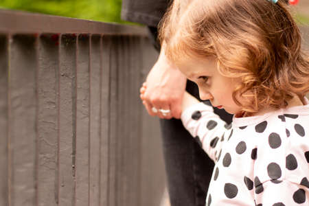 Little beautiful red-haired girl with curly hair in a dress holds the hand of a parent in a summer parkの写真素材