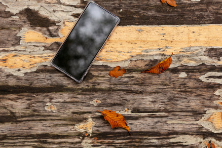 A new phone in a transparent case lies on an old table with fallen autumn leaves.の写真素材
