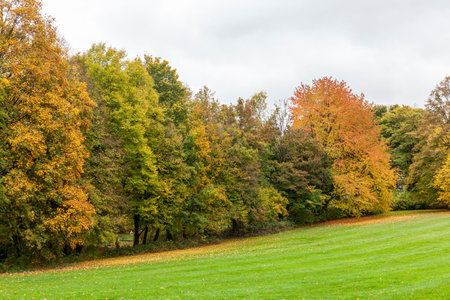 Red-yellow trees in the autumn park. Beautiful seasonal landscape photo