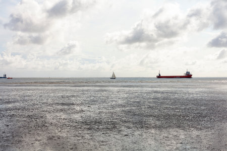 Seascape with cargo ships in the distance and cloudy sky.